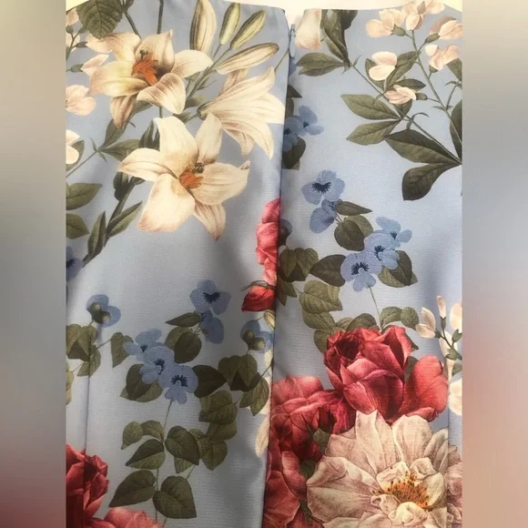 Sachin & Babi Brooke powder blue bouquet gown - Picture 8 of 12